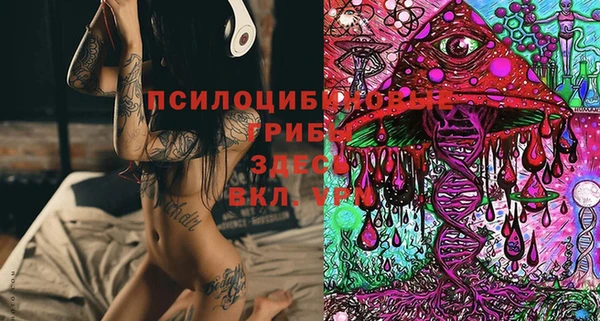 стафф Балабаново