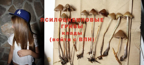 стафф Балабаново