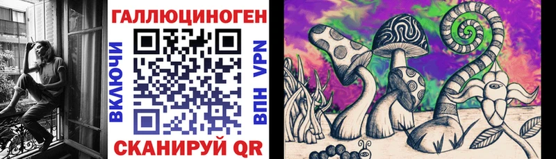 как найти   Вольск  Псилоцибиновые грибы ЛСД 